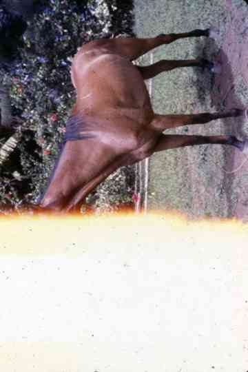 Tabu, propriedade privada Poster