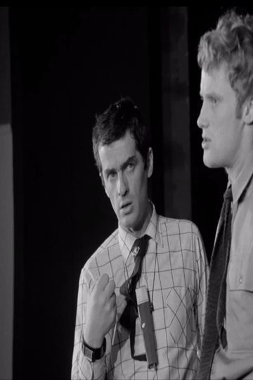 Scenes From The Director's Life