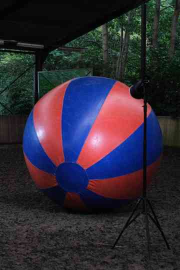 A horse is a horse of course of course Poster