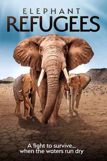 Elephant Refugees Poster