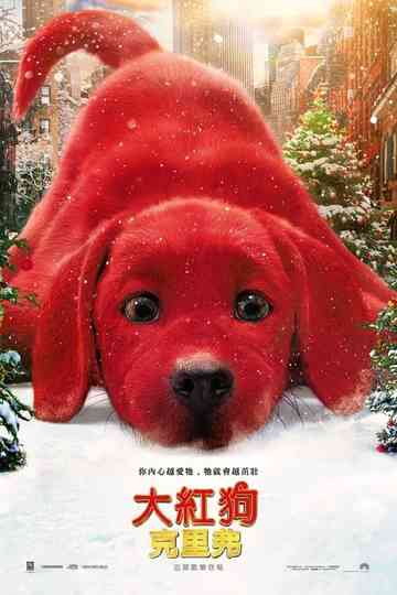 Knock Down the House Collection Poster