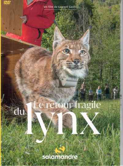 The Fragile Return Of The Lynx Poster