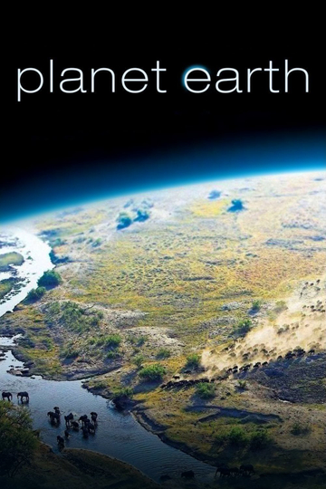 Planet Earth Poster