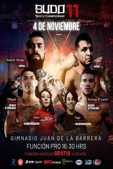 Budo Sento 11 Poster