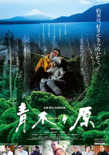 Aokigahara