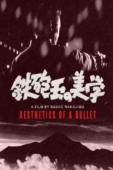 Aesthetics of a Bullet Poster