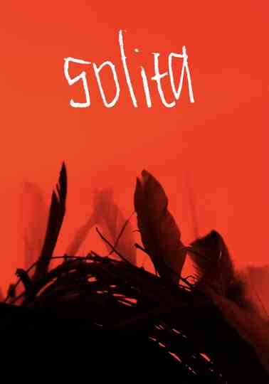 Solita Poster