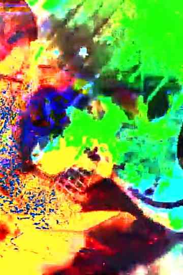 giacobits chikenitos Poster