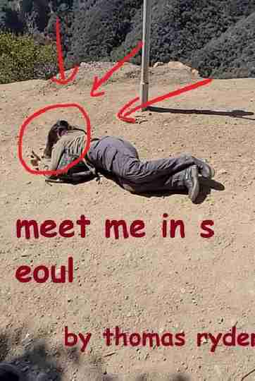 Meet Me In Seoul Poster