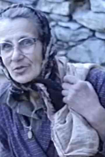 Tonino e le galline Poster