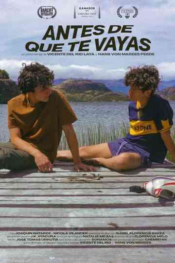 Before you go Poster