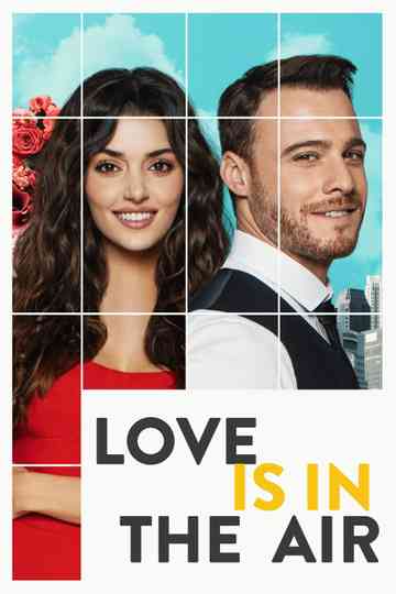 Love Is in the Air Poster