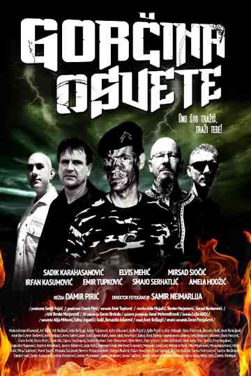 The Bitterness of Revenge Poster