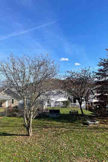 I Like America and America Likes Me Poster