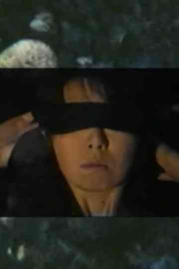 The Leap (No Leap) Poster