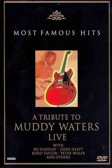 A Tribute to Muddy Waters - Live Poster