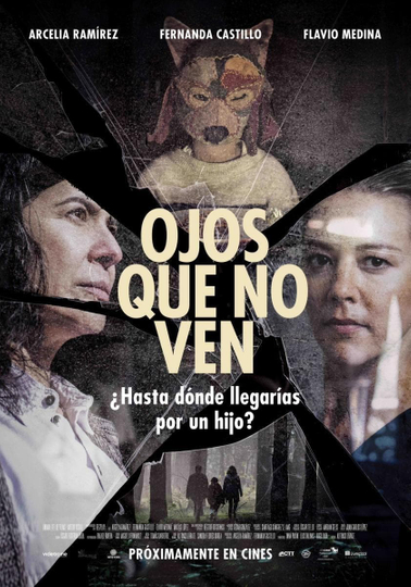 Ojos que no ven Poster