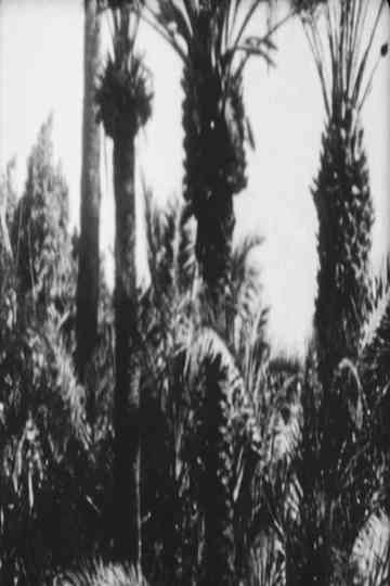 Festa Nuziale Poster