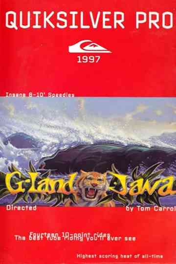 Quiksilver Pro G-Land 1997 Poster