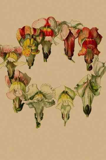 stories in place: plante poster