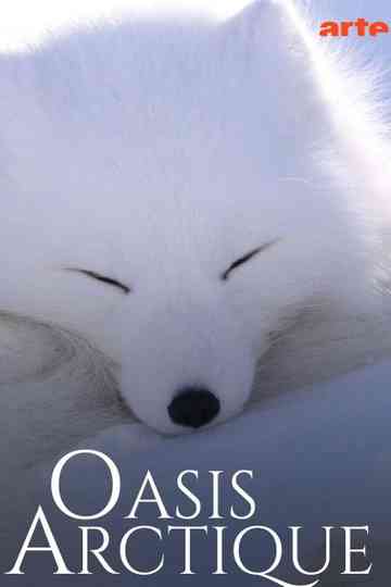 Oasis Arctique poster