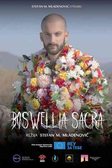 Boswellia sacra Poster