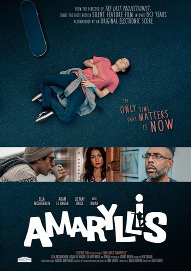 Amaryllis Poster