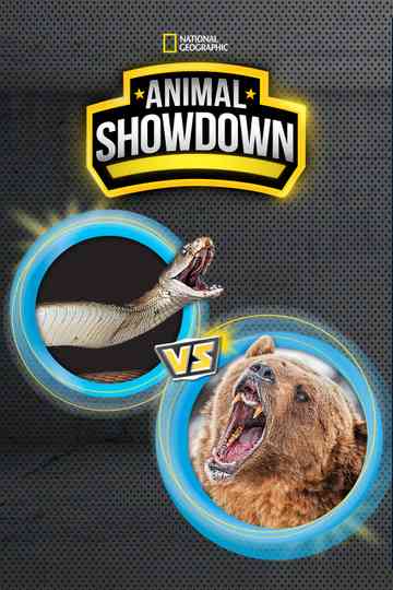 Animal Showdown Poster