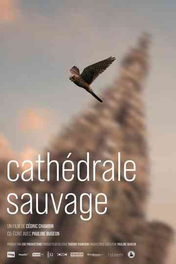 Cathédrale Sauvage poster