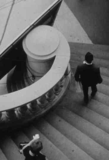 Venus and Adonis Poster