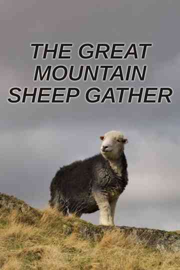 The Great Mountain Sheep Gather Poster