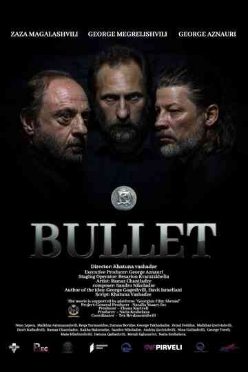 Bullet Poster