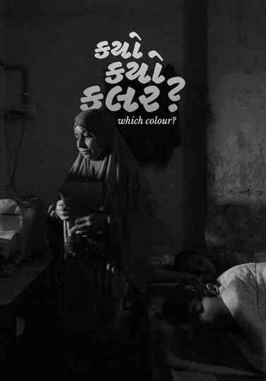 Which Colour? Poster