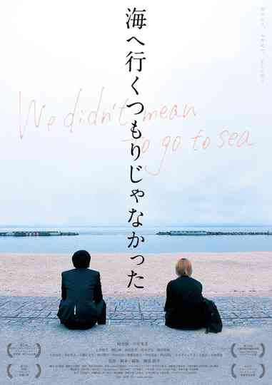 We Didn't Mean To Go To Sea poster