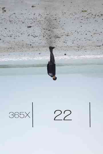 365x: 22 Poster