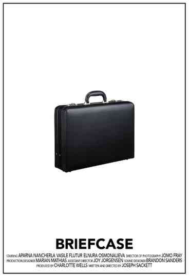 Briefcase Poster