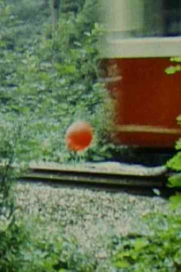 Balloon on Track Poster