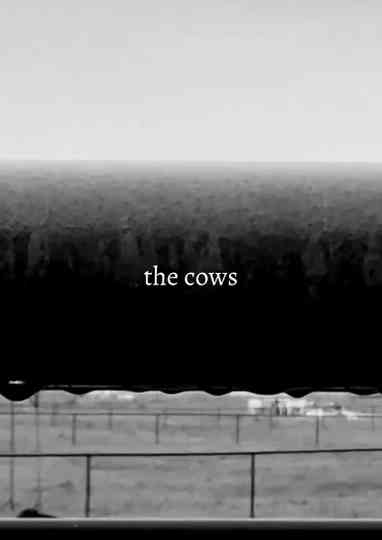 the cows Poster