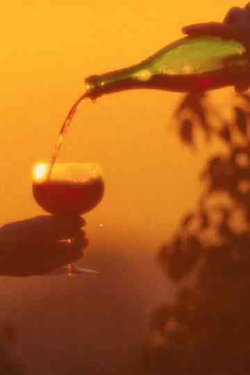 An Illusion of Cohesion Poster