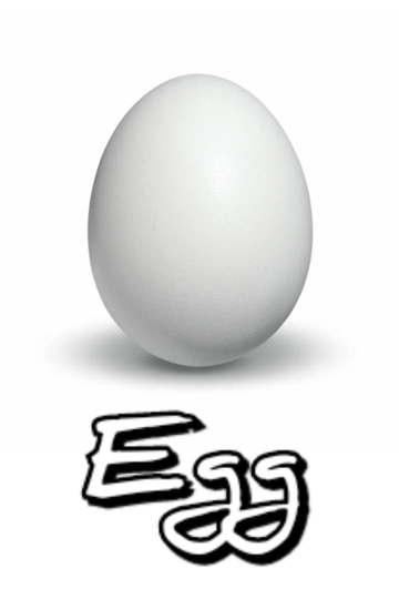 Egg