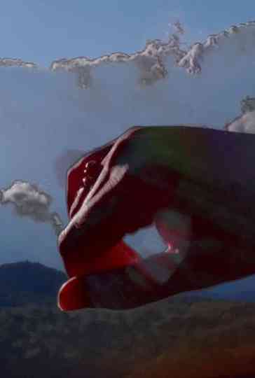 Sunflower Siege Engine Poster