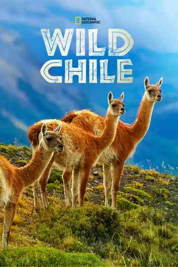 Wild Chile
