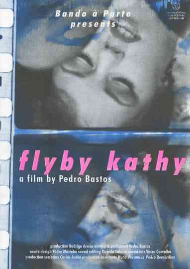 Flyby Kathy Poster