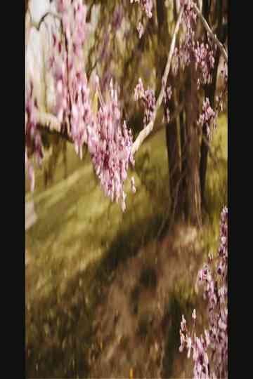 3/1 and 3/3 (Bountiful Gems) Poster