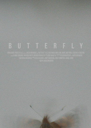 Butterfly Poster