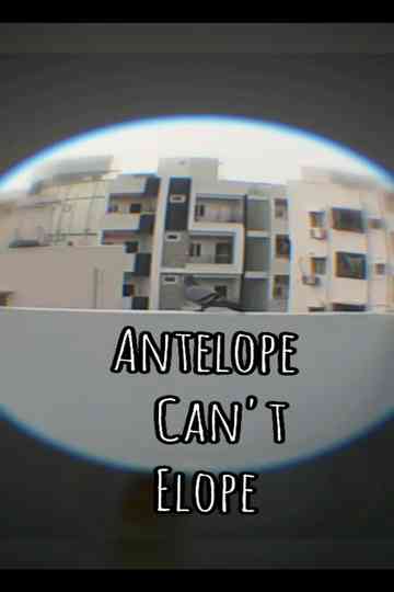 Antelope can't Elope Poster