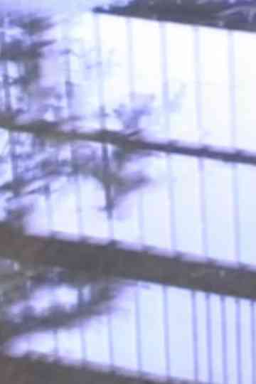 Love & Numbers Poster