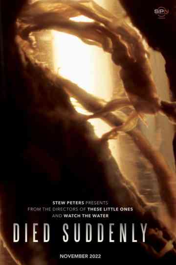 Died Suddenly Poster