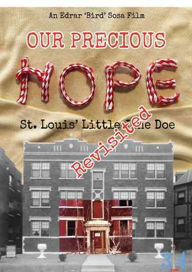 Our Precious Hope: St. Louis' Little Jane Doe Revisited Poster