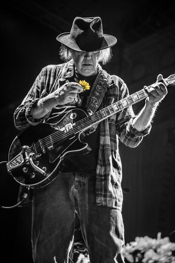 Neil Young + The Promise of the Real: Noise & Flowers Poster